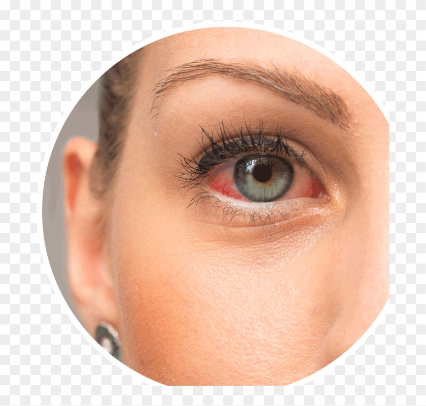 Close-up Clipart