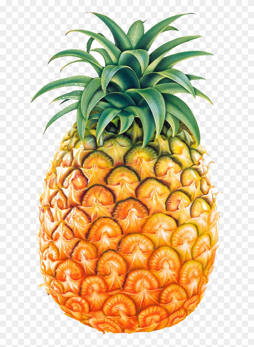 Pineapple Fruit Png Image - Pineapple Png Clipart