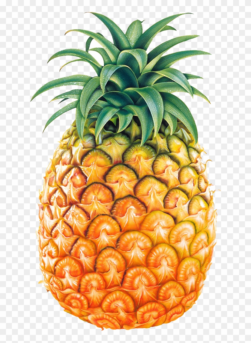Pineapple Fruit Png Image - Pineapple Png Clipart #294299