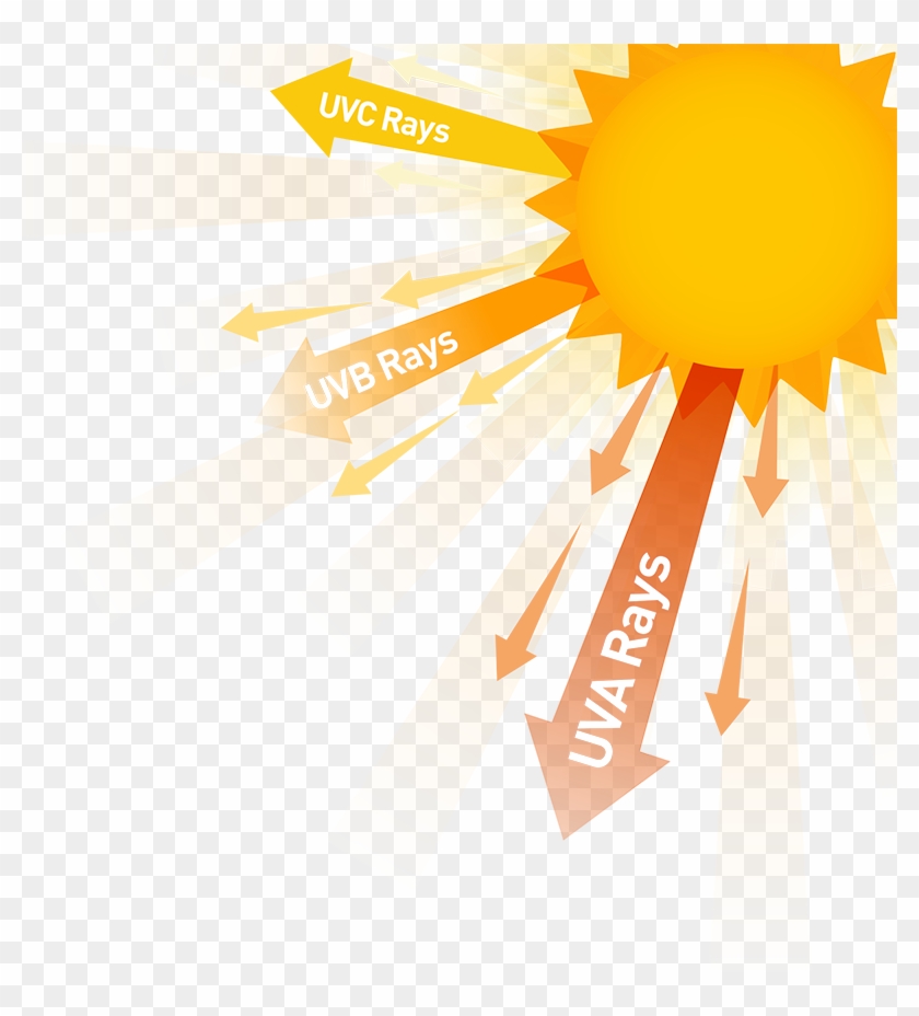 Sunlight Clipart Sun Exposure - Uv Rays - Png Download #294767