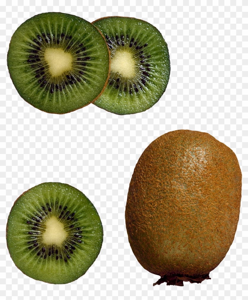 Kiwi Png Image, Free Fruit Kiwi Png Pictures Download - Fruit From Top Png Clipart