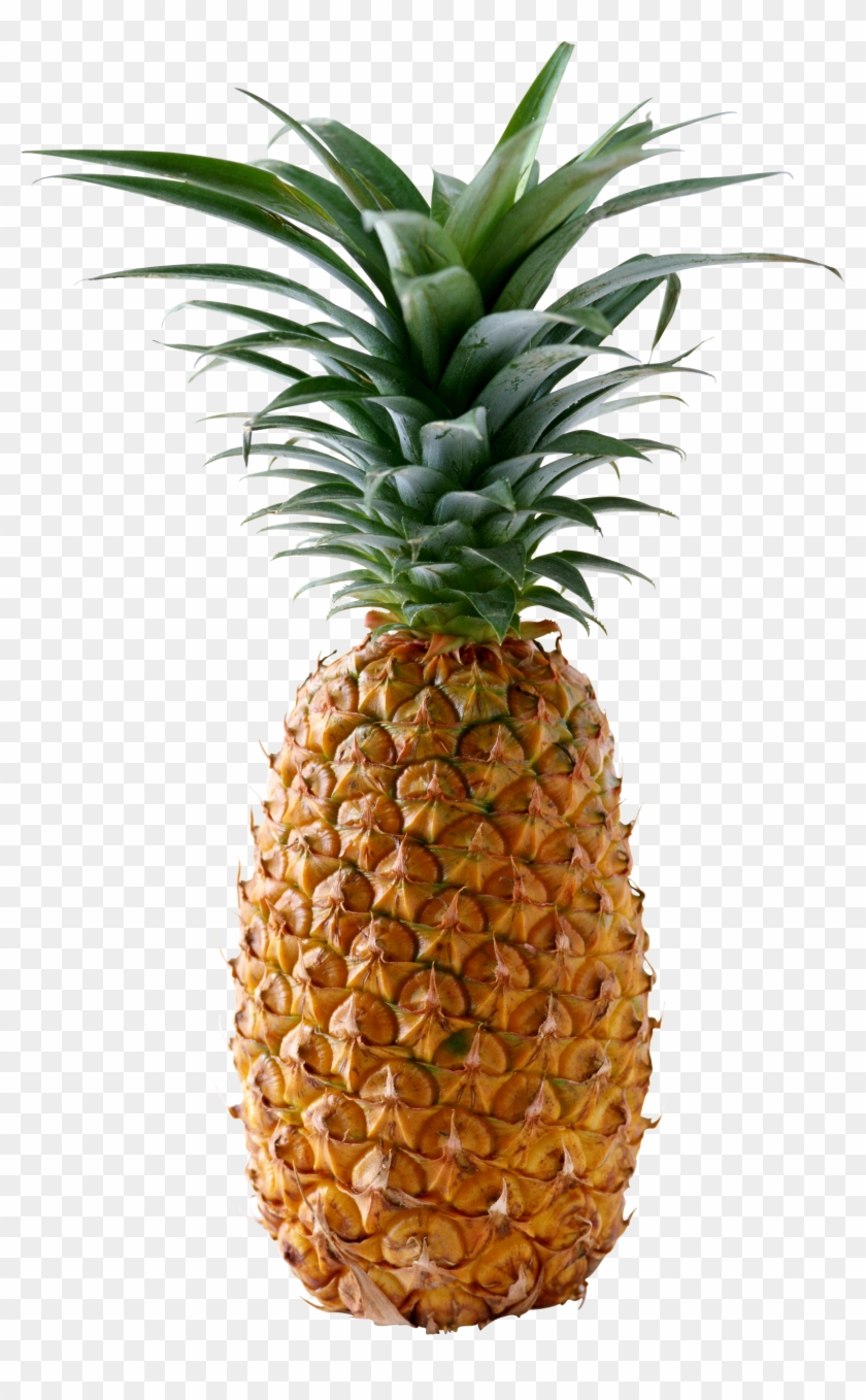 Pineapple Png Image, Free Download - Pineapple Png Clipart #295773
