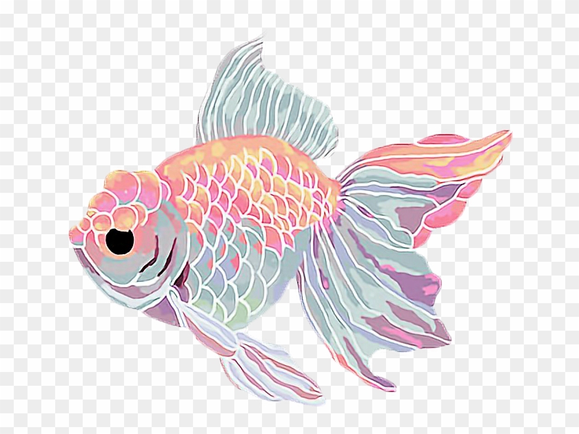 Graphic Free Download Fish Flower Aesthetic Kawaii - Goldfish Aesthetic Clipart #296648
