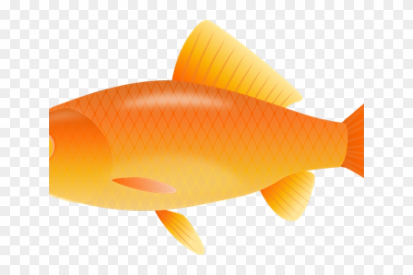 Fish Clip Art No Background - Png Download