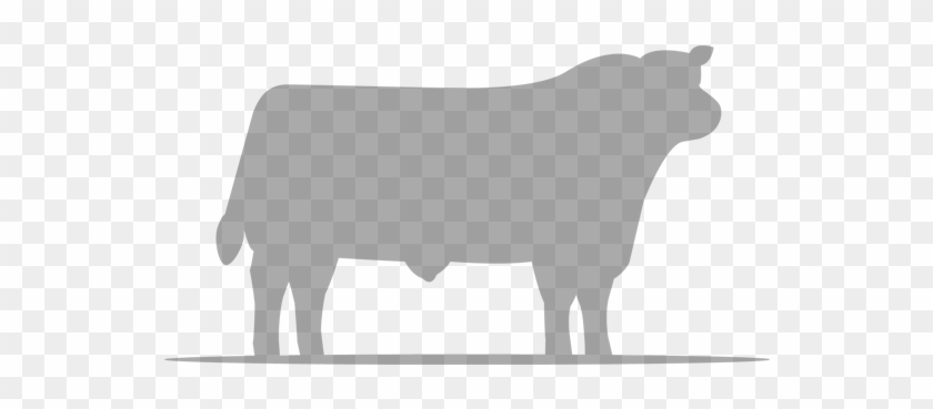 Carlisle Show Results - Aberdeen Angus Logo Clipart #297935