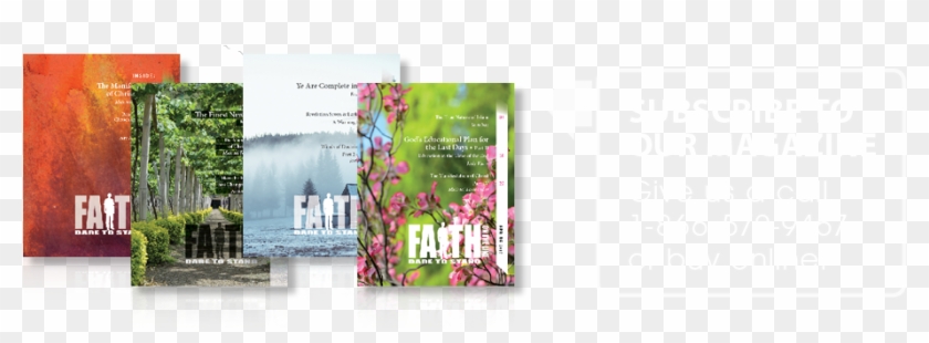 Orchid Clipart #298310