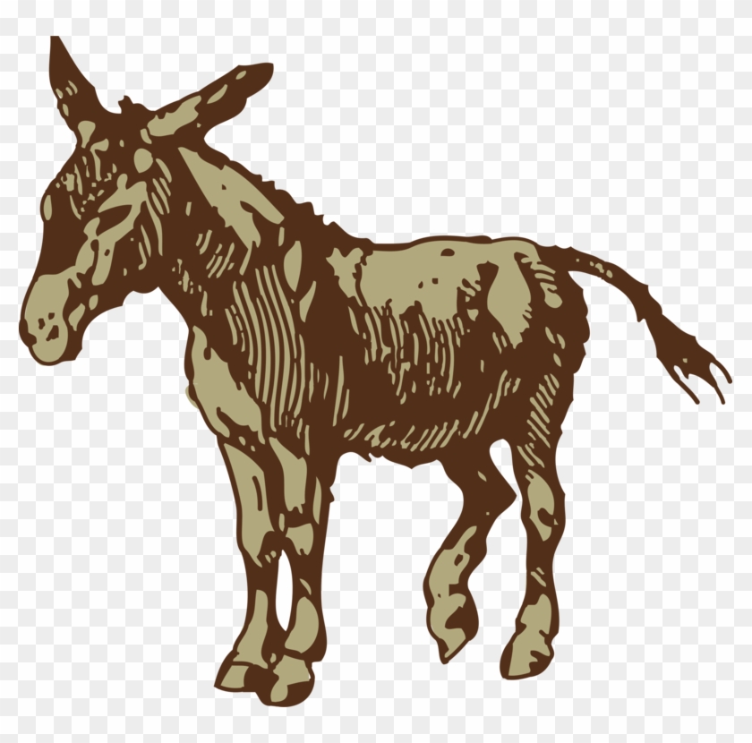 Horse Drawing Free Commercial Clipart - Donkey Royalty Free - Png Download #299892
