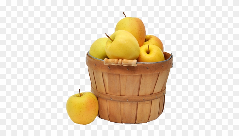 - Scotian Gold - Apple Clipart #2900765