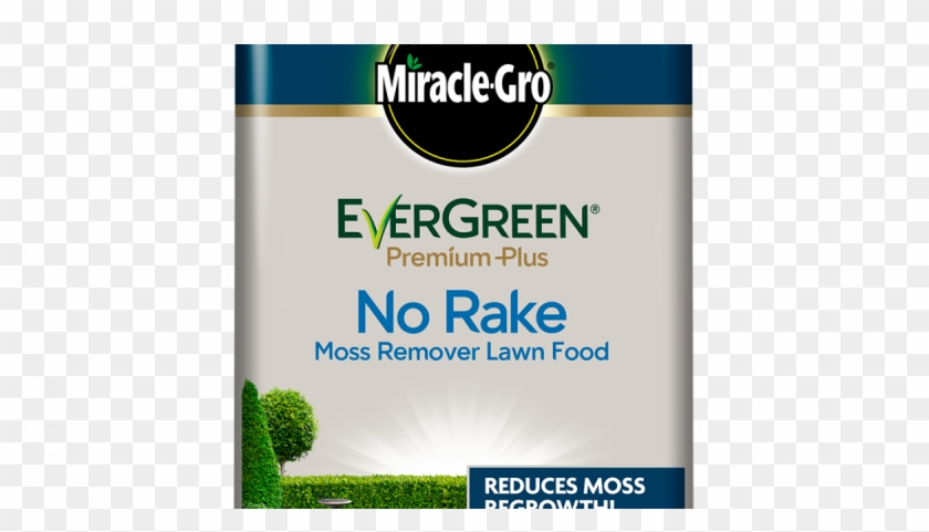 Miracle-gro® Evergreen® Premium Plus No Rake Moss Remover - Flyer Clipart #2902217