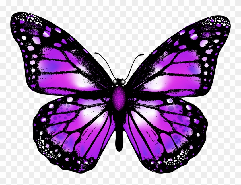 Purple Butterfly Png - Transparent Background Butterfly Png Clipart #2902799