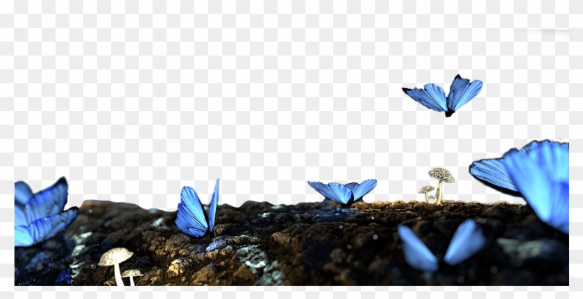 Blue Butterfly - Forest Butterflies Background Clipart