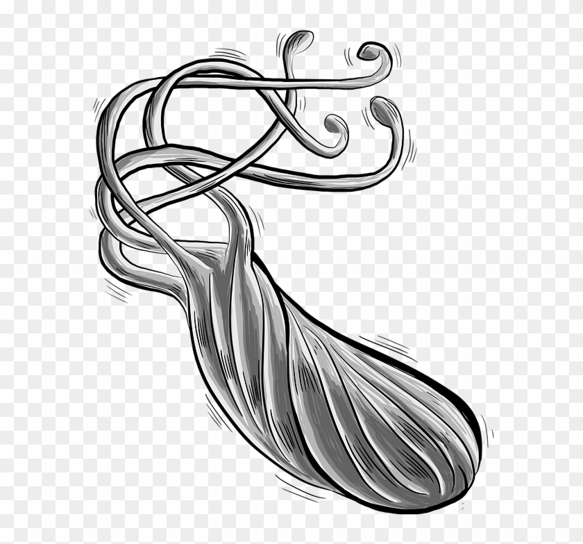 Helicobacter Pylori Png Clipart #2902906