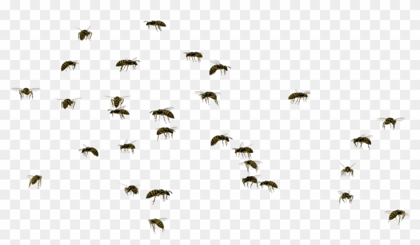 Swarm Of Bees Png Png Royalty Free - Swarm Of Flies Clipart Transparent Png