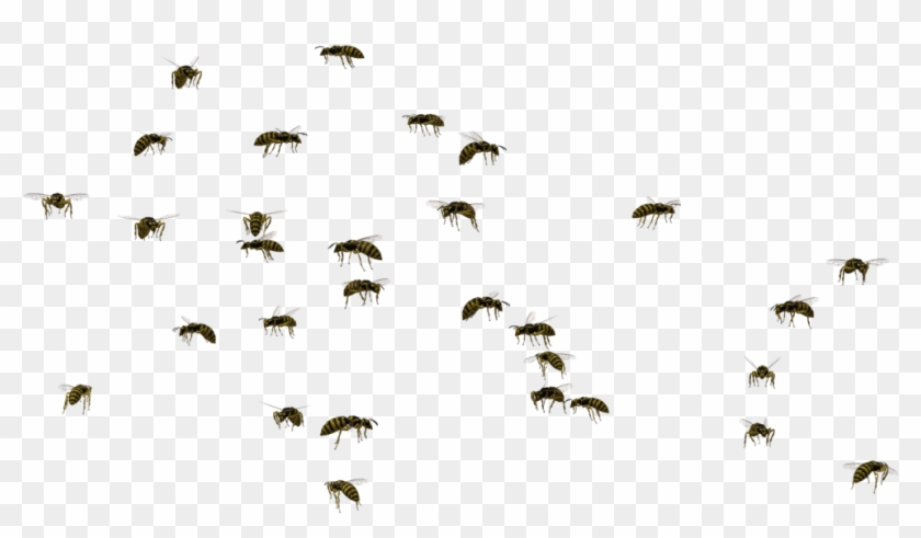 Swarm Of Bees Png Png Royalty Free - Swarm Of Flies Clipart Transparent Png #2902950