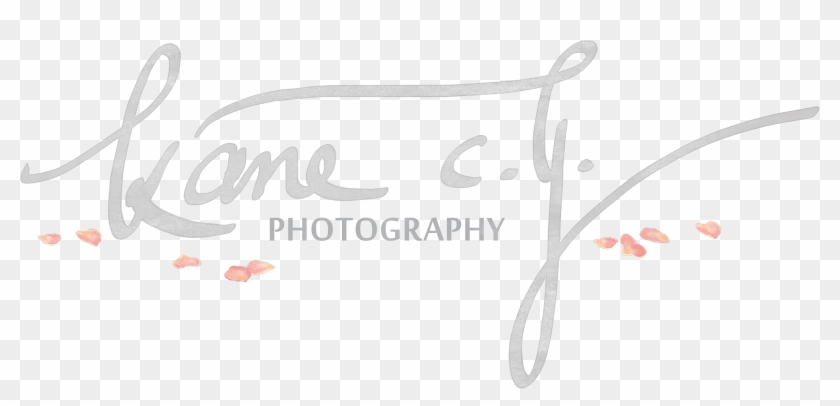 Cy Photography Kane - Calligraphy Clipart #2903202