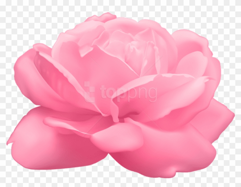 Free Png Pink Rose Png Images Transparent - Artificial Flower Clipart #2903661