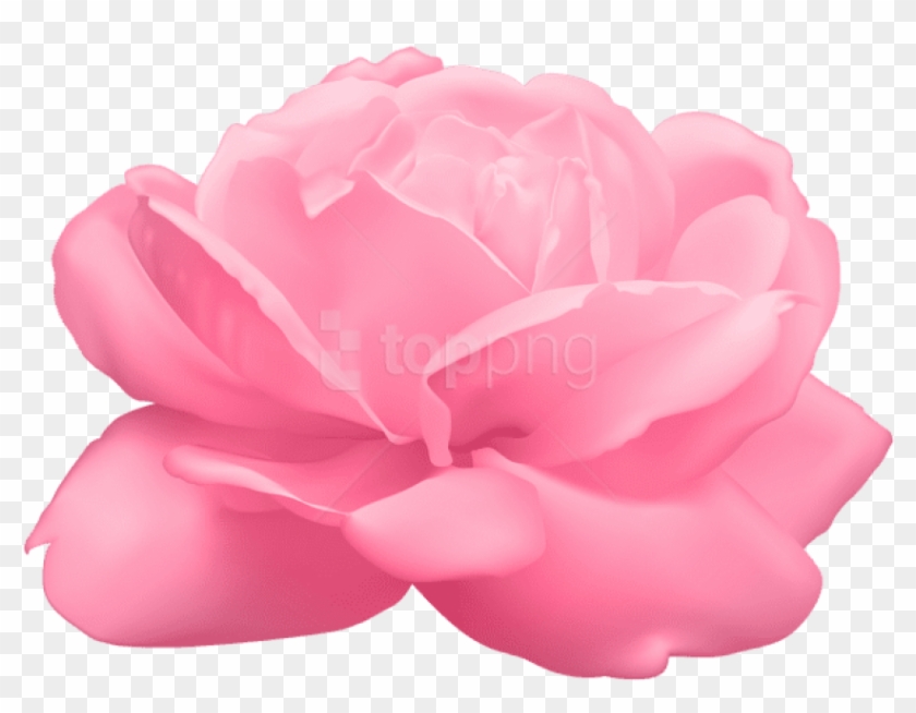 Free Png Pink Rose Png Images Transparent - Artificial Flower Clipart