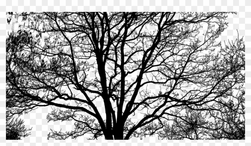 Tree2 - Intricate Tree Silhouette Clipart #2904179