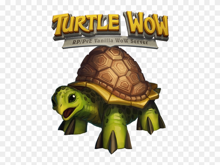 Turtle-wow - Turtle Wow Png Clipart #2906314