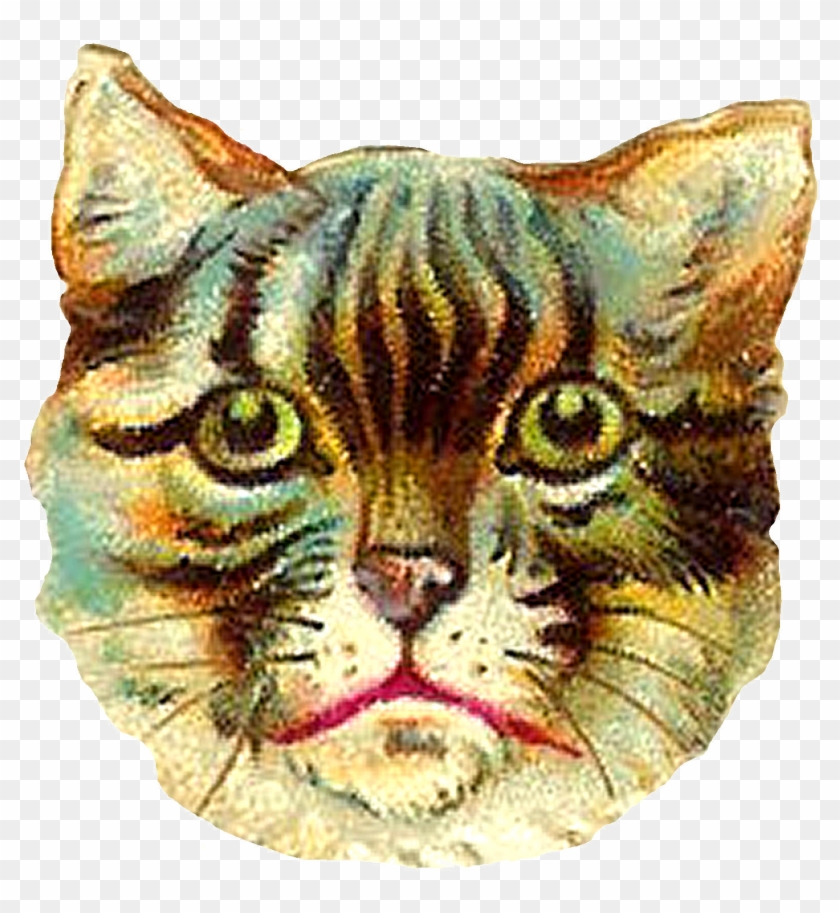 This Poor Kitty Looks Awfully Frightened I Wonder If - Cat Clipart #2906355
