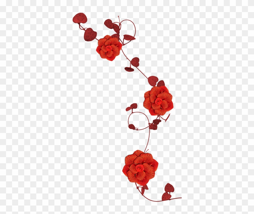 Download High Resolution Png - Dianthus Clipart #2906400