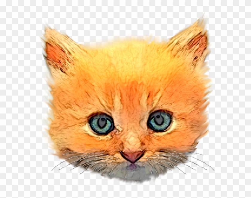 Kitten Head Png Clipart #2906445