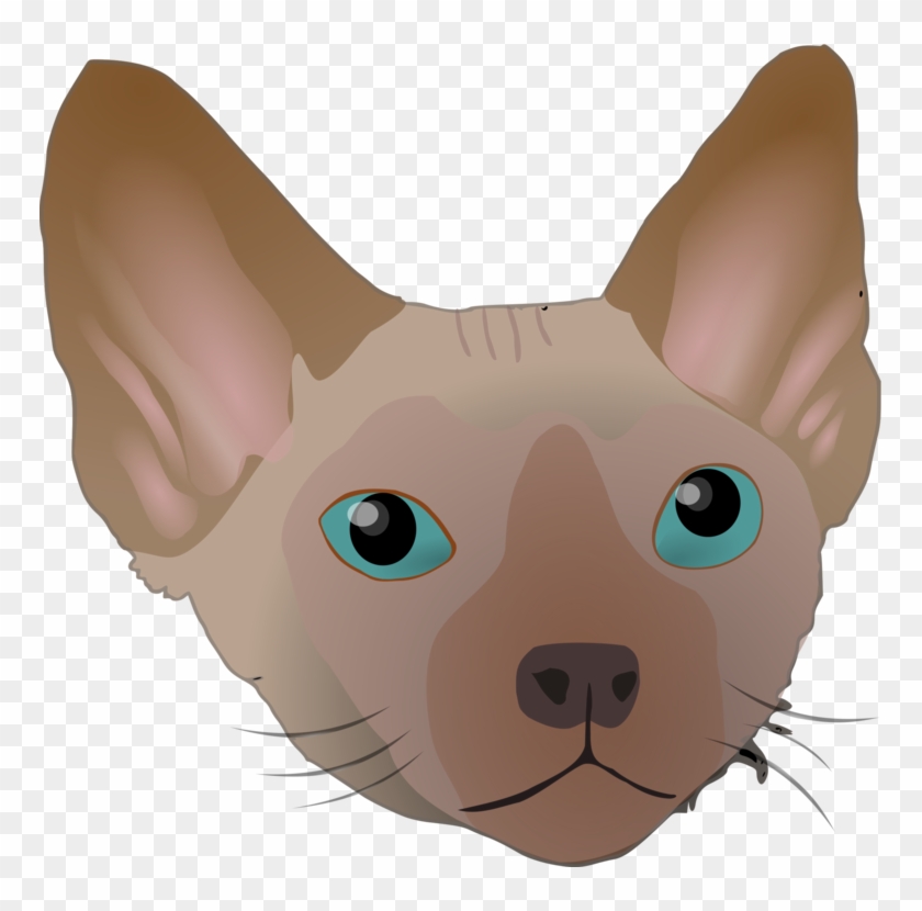 Devon Rex Whiskers Domestic Short-haired Cat Sphynx - Cat Clipart #2906684