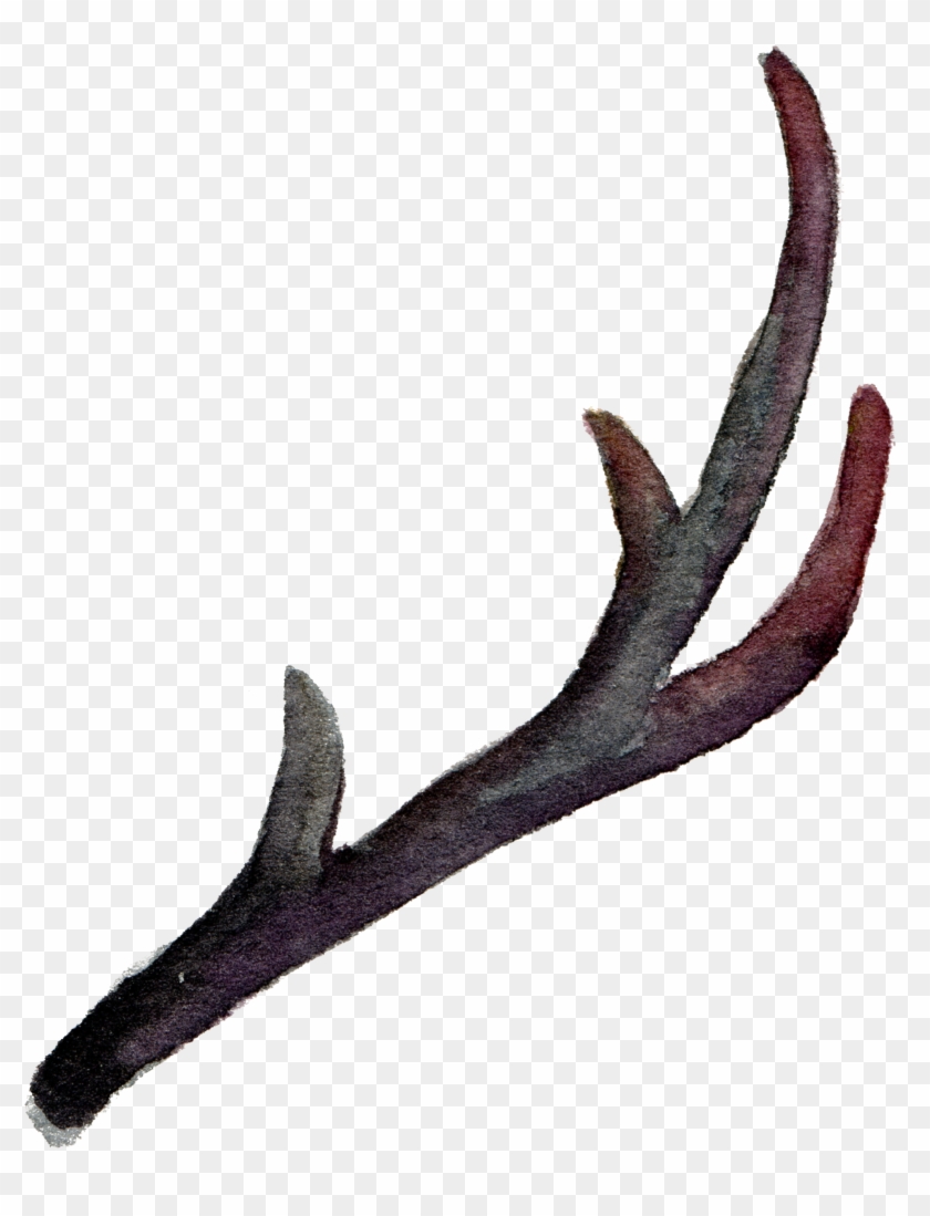 Antler Watercolor Painting Leaves - Horn Transparent Clipart #2906958