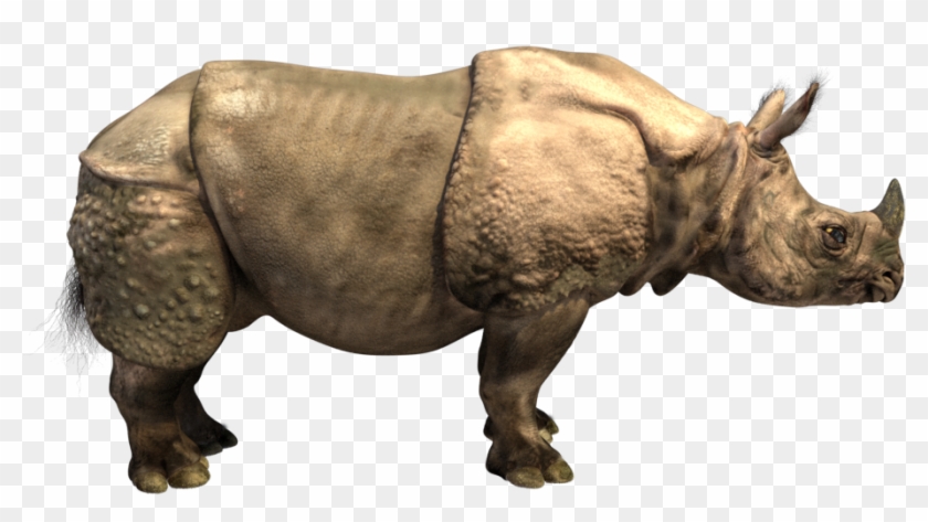 Horns Png Indian - Painting Of One Horned Rhino Clipart