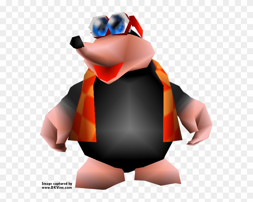 Bottles - Banjo-kazooie Clipart #2907668