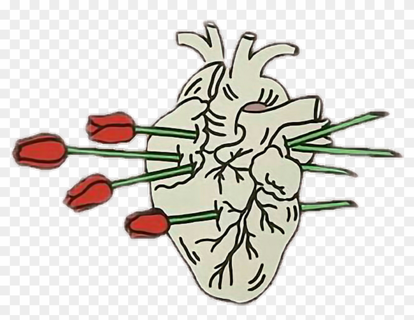 Free Real Heart Sketch, Download Free Clip Art, Free - Transparent Doodles Tumblr Png #2907888