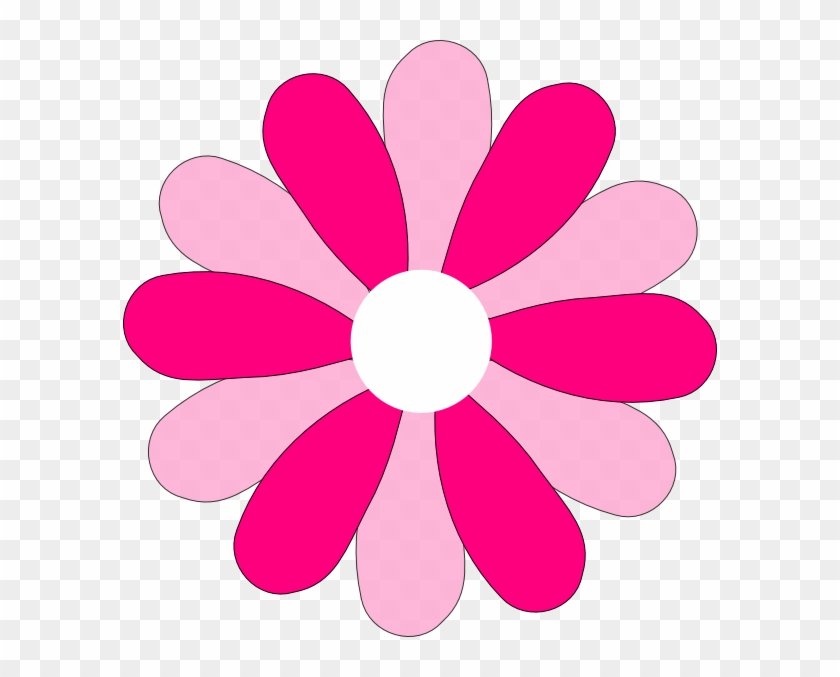 Download - Gerber Daisy Flower Clipart - Png Download