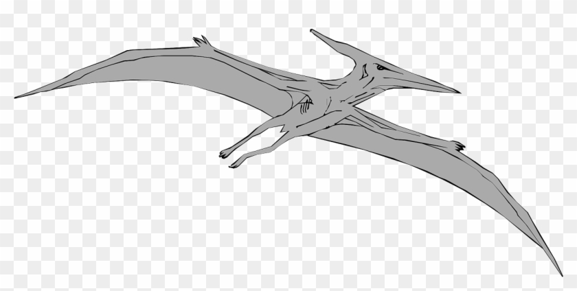 Vector Graphics, - Hình Thằn Lằn Bay Clipart #2909082