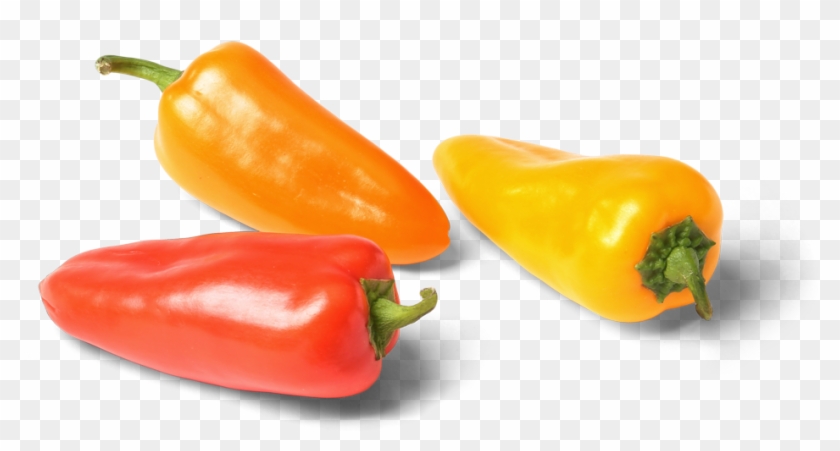 1000 X 502 1 0 - Habanero Chili Clipart