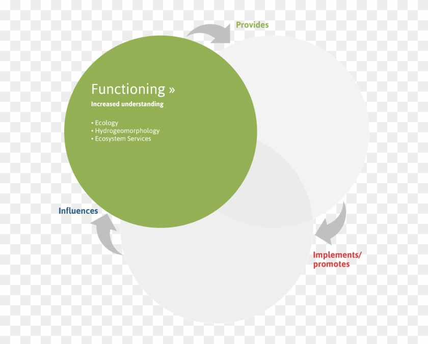 The Toolbox Offers Information On Structures And Processes - Circle Clipart