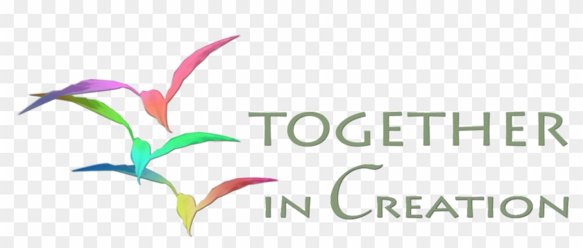 Final Tic Logo - Valley Cheer And Dance Clipart #2912514