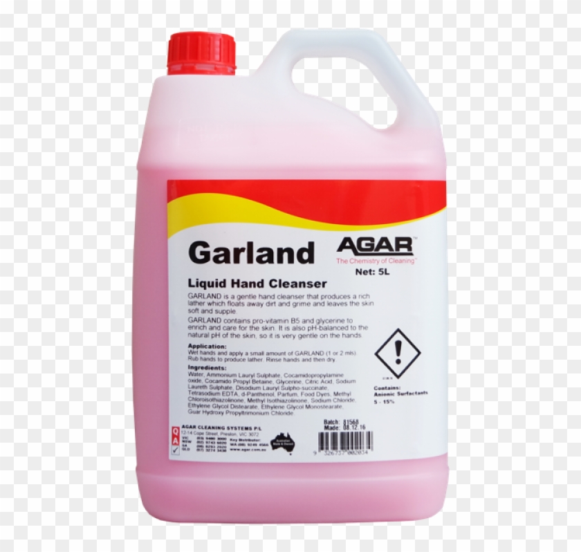 Carpenter Ant Clipart