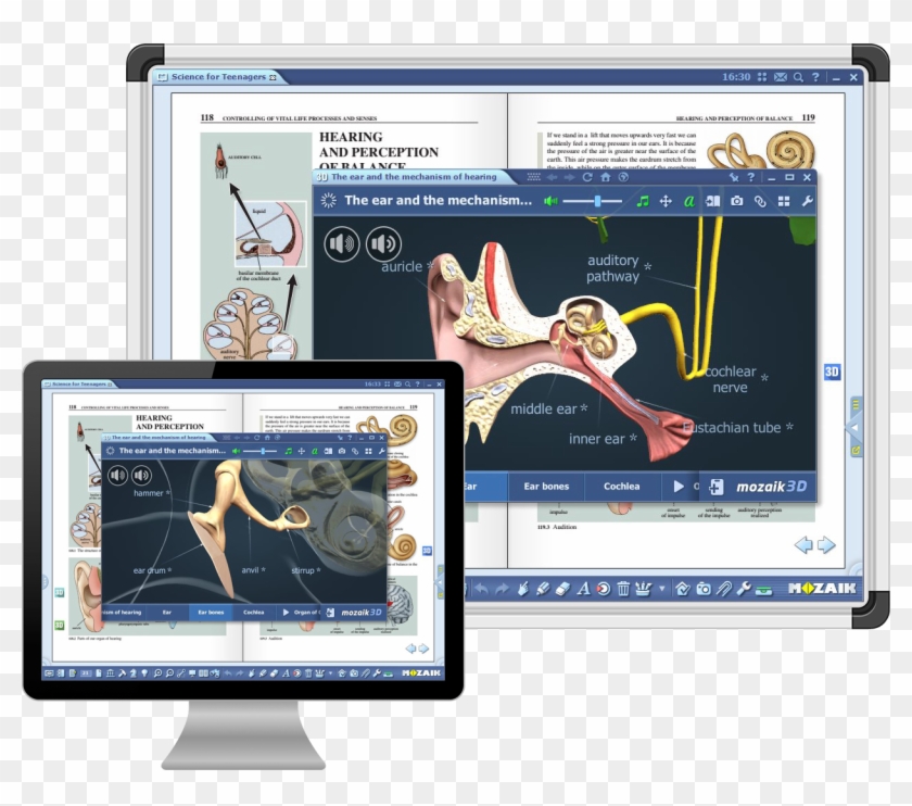 Screen Mozabook Board Monitor - Mozabook Clipart #2917322