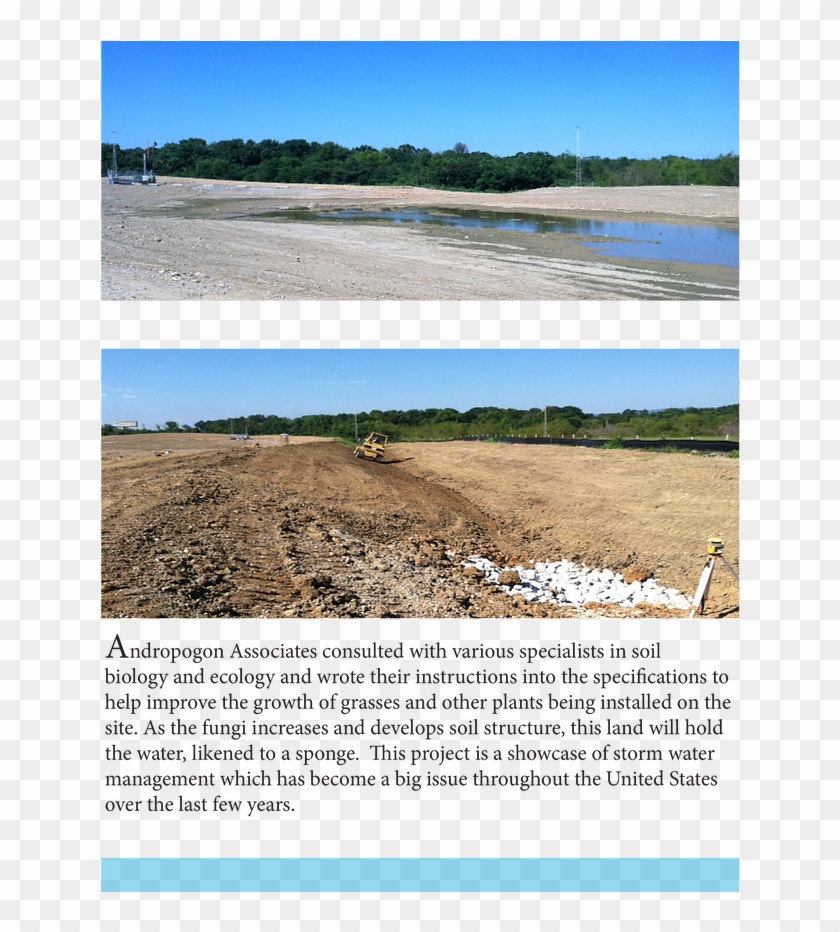 Chattanooga-2 - Freshwater Marsh Clipart