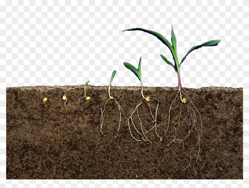 Soil Transparent - Earth Soil Png Clipart