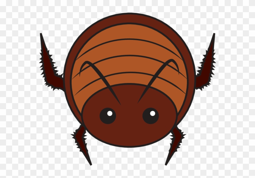 Animaru Cockroach - Cockroach Head Cartoon Clipart #2918553