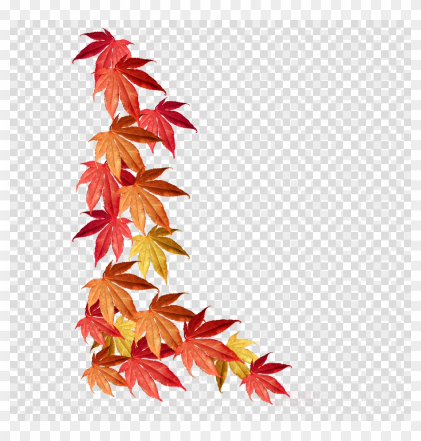 Leaf Autumn Tree Transparent Thanksgiving Border Transparent - Autumn Leaves Border Png Clipart #2919383