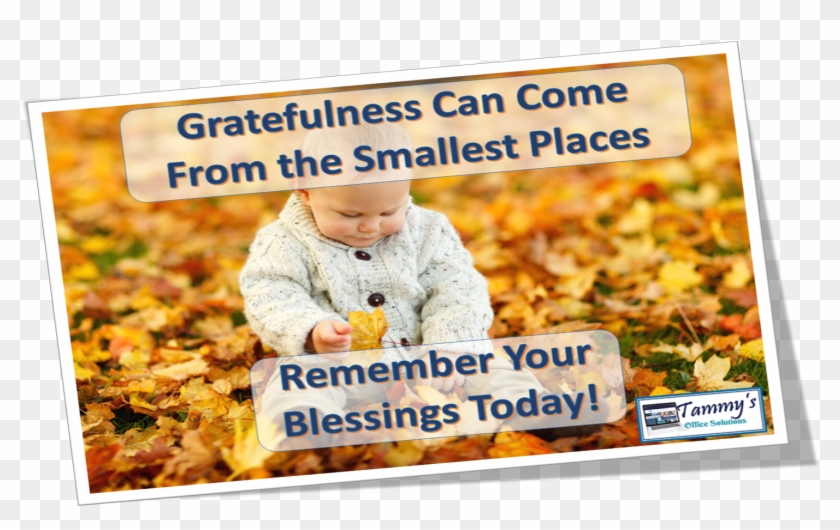 #grateful - #thankful - #blog - #tammysoffices Blog - Baby In Leaves Clipart