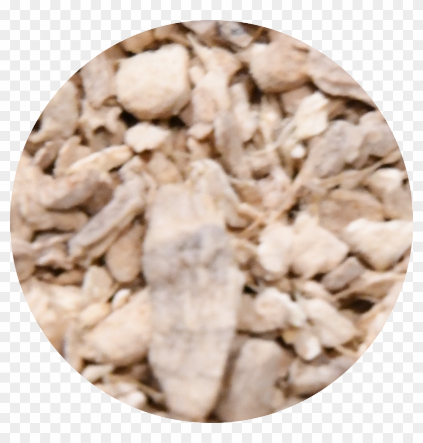 Dsc 5654 - Waxworm Clipart #2919936