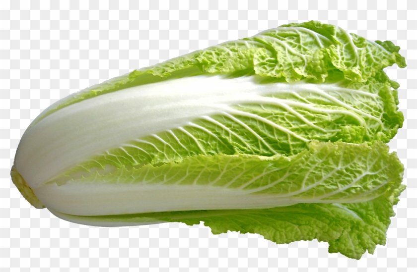 8 Kg In Cardboard Box, 700 1400 G 800 1600 G - Chinese Cabbage Png Clipart #2920571