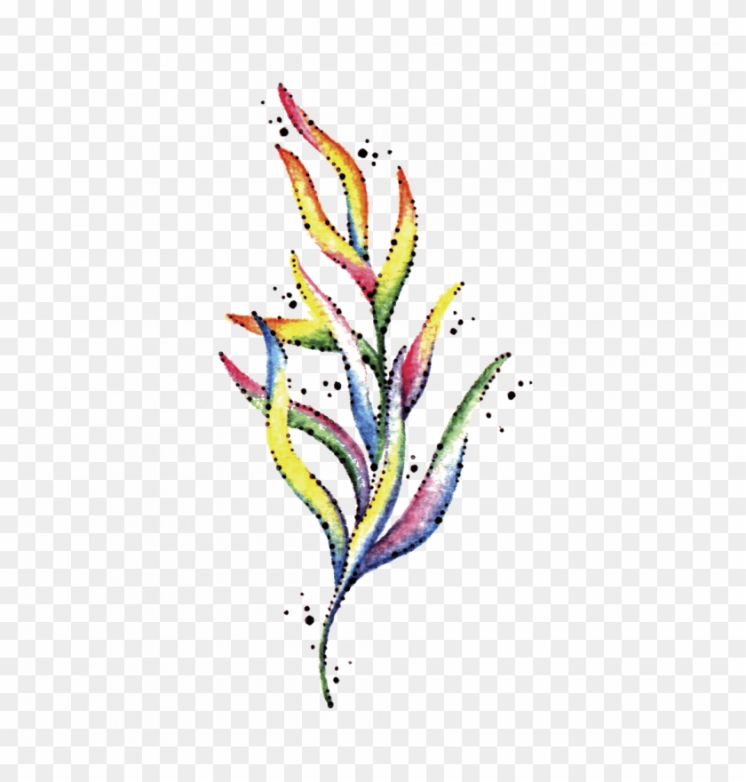 Temporary Tattoo Seaweed - Водоросли Тату Clipart #2920654