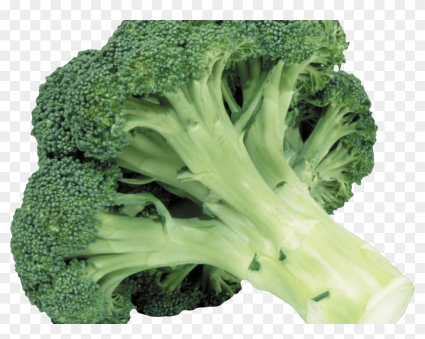 Peggy Schirmer Diet Plan Clipart