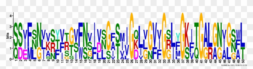 Progress Report And Continued Research 4/10/19 - Calligraphy Clipart #2920970