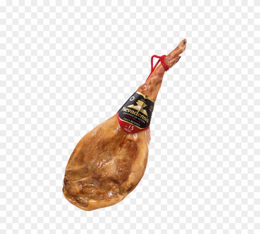 Jamon Serrano Sin Fondo Clipart