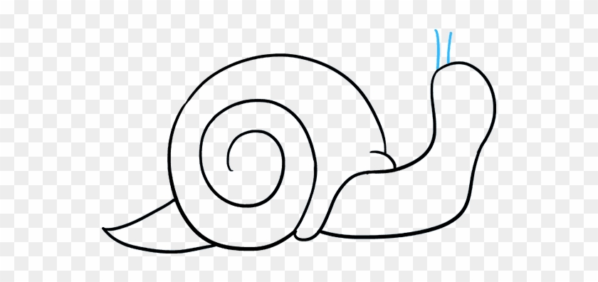 Snail Drawing Png - Drawing Clipart #2923253